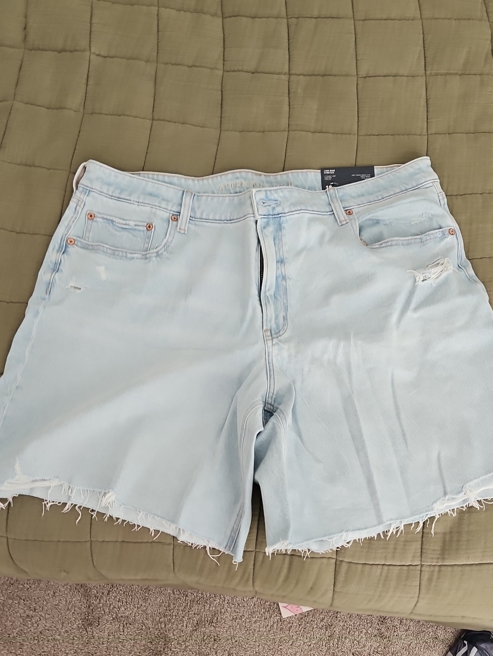 American Eagle 8" Baggy Jort